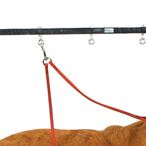 Master Equipment Overhead Pet Grooming Arm & Reviews Wayfair